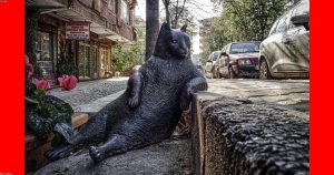认知升级：如何打破思维壁垒持续进化