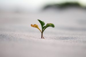 长期主义：在速食时代做一个慢思考者